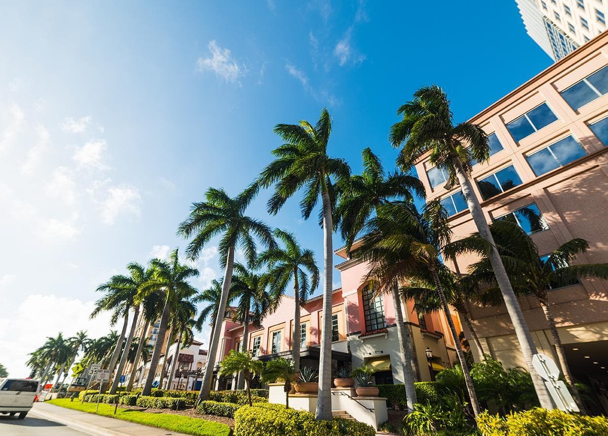 Palm trees and elegant buildings in West Palm Beach, Florida